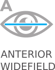 Anterior