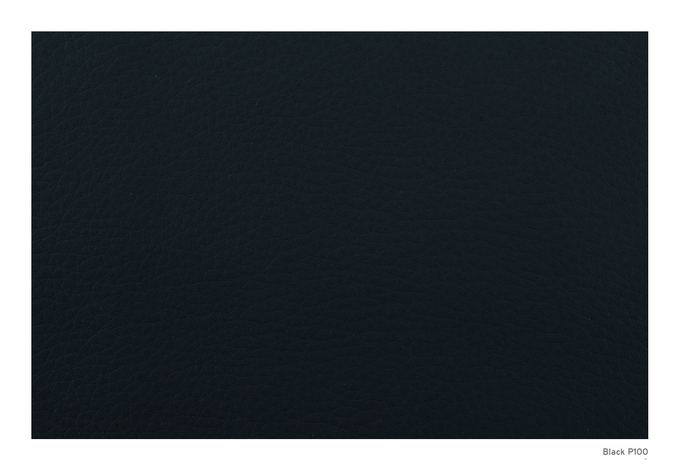 Greiner_009_Black P100.jpg