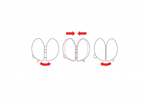 Salli MultiAdjuster